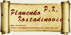 Plamenko Kostadinović vizit kartica
